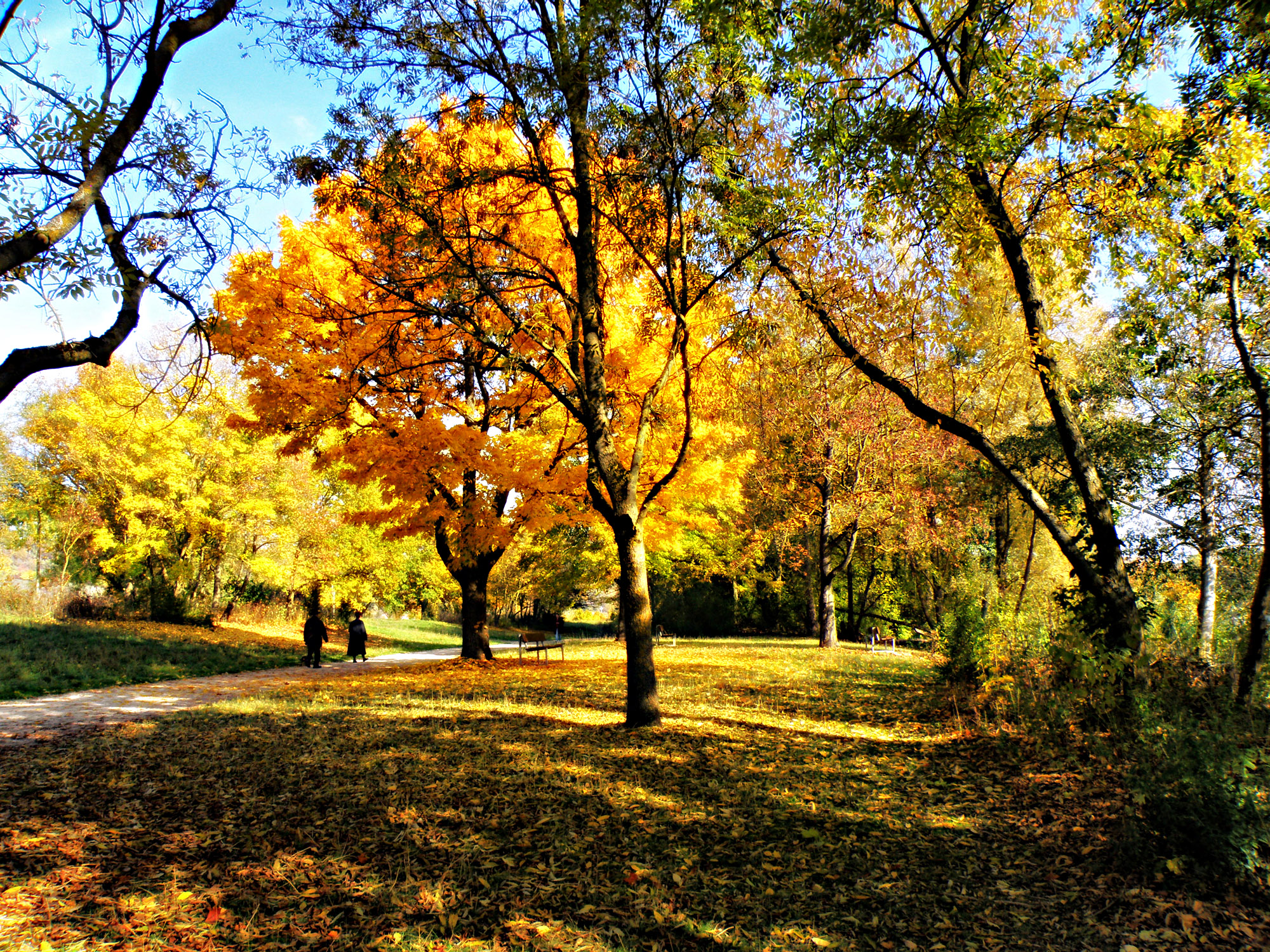 На прогулке.
