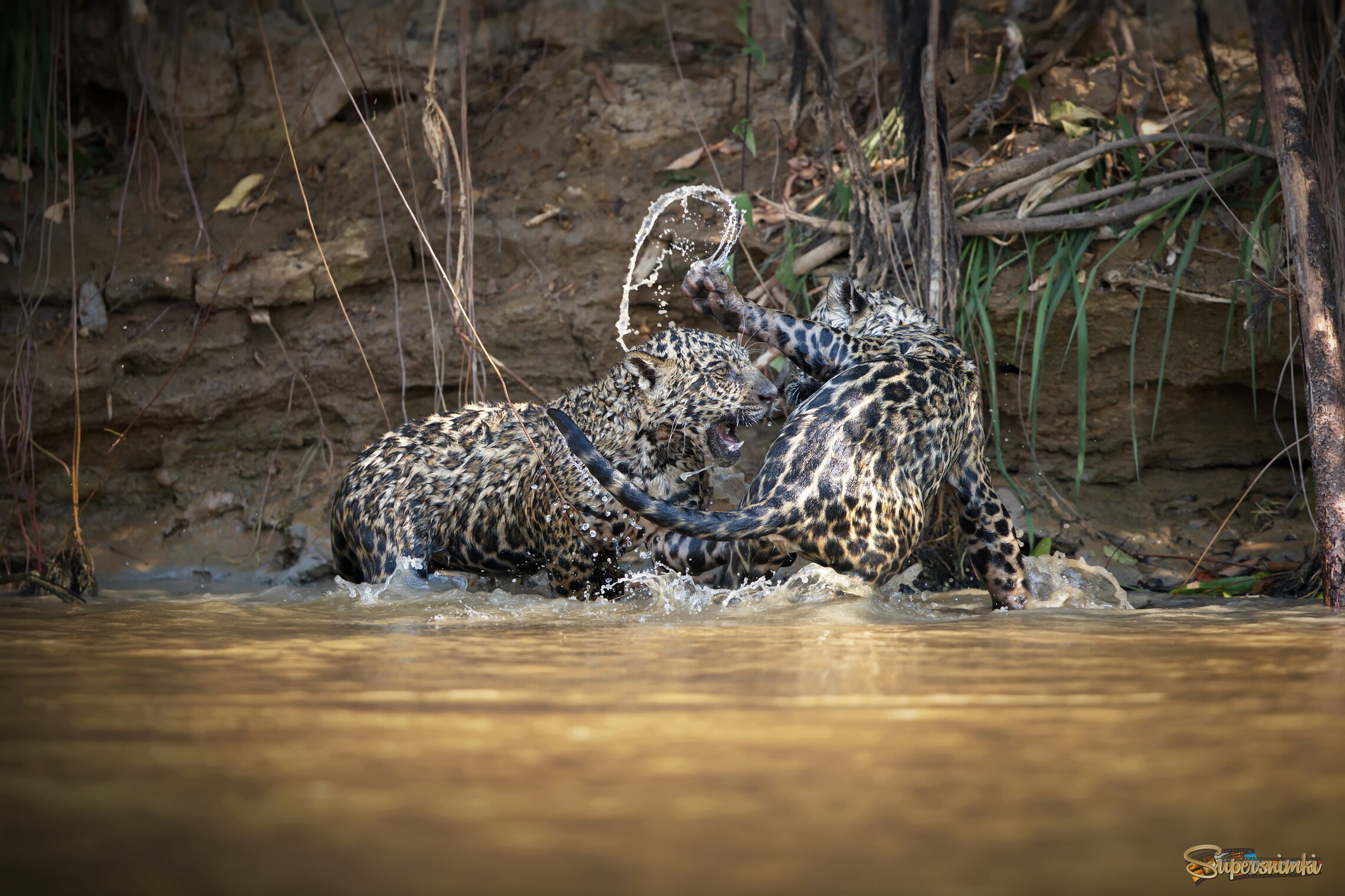 Подростковые игры