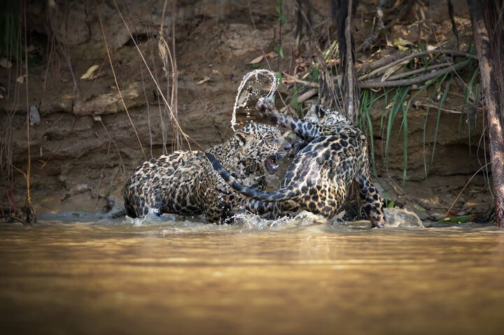 Подростковые игры