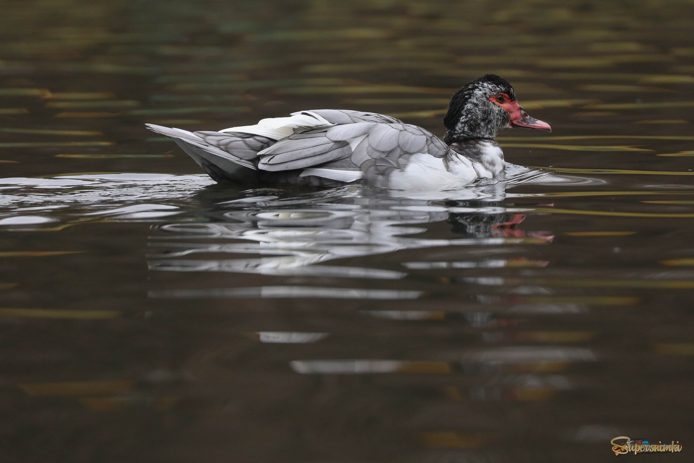 Странный очень