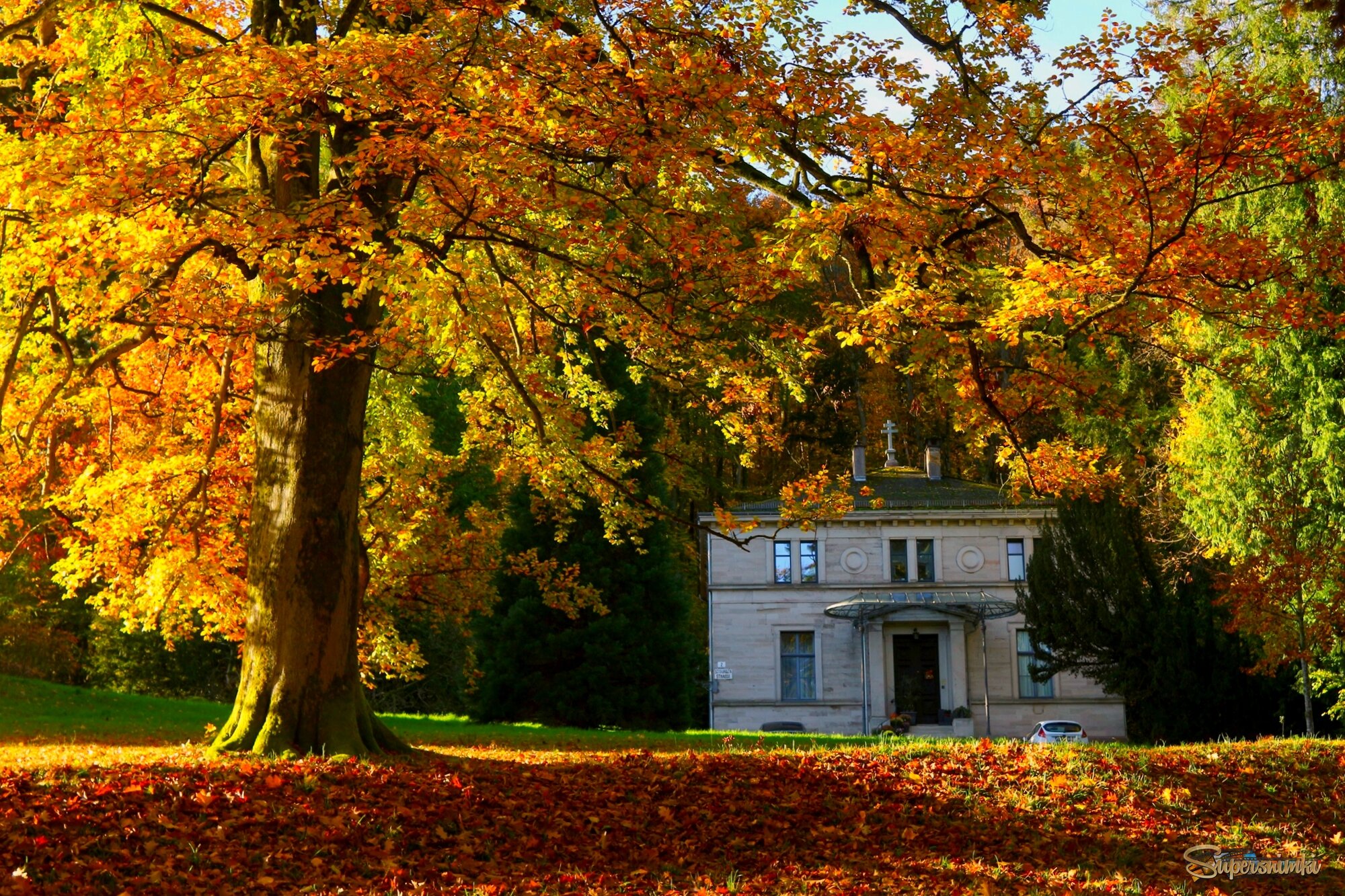 Одно утро осени