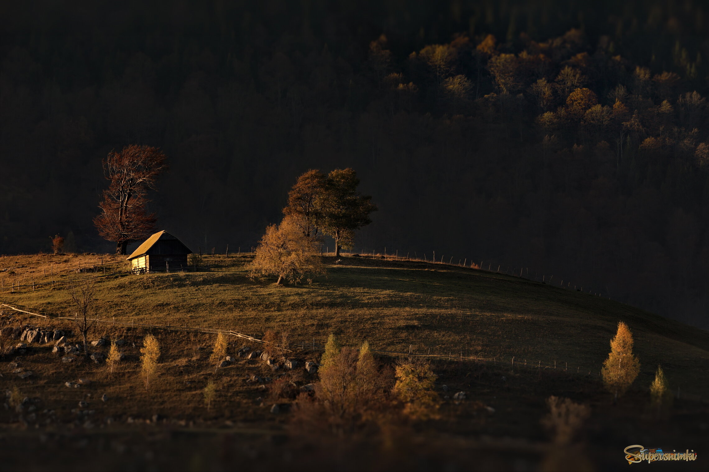 Румынские мотивы