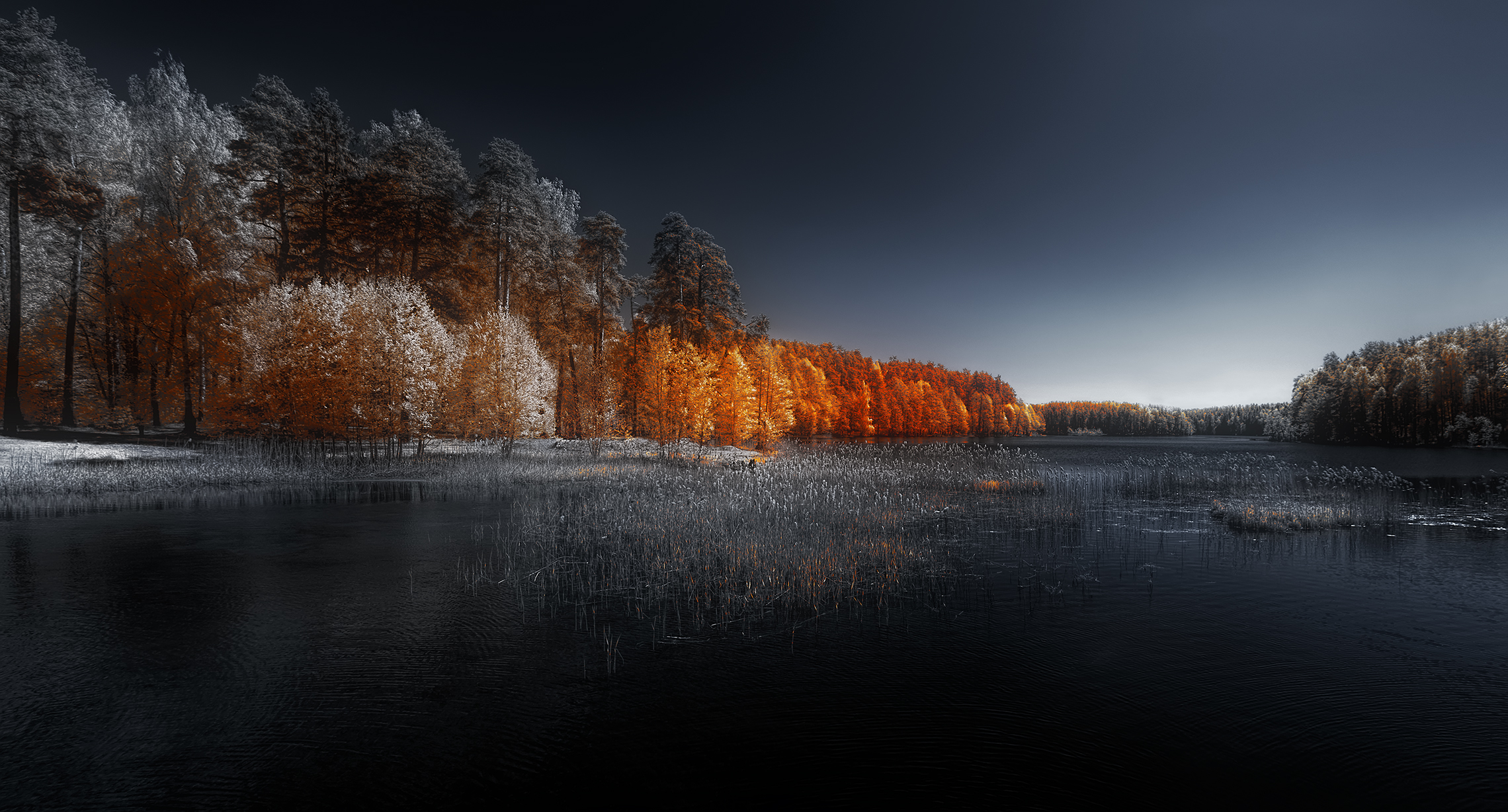 В акватории весны