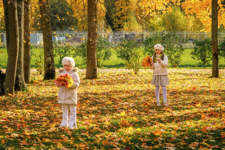 Осень