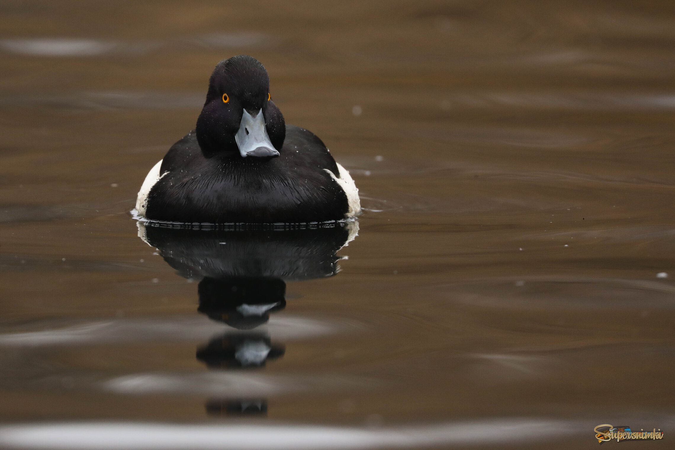 В покое на воде