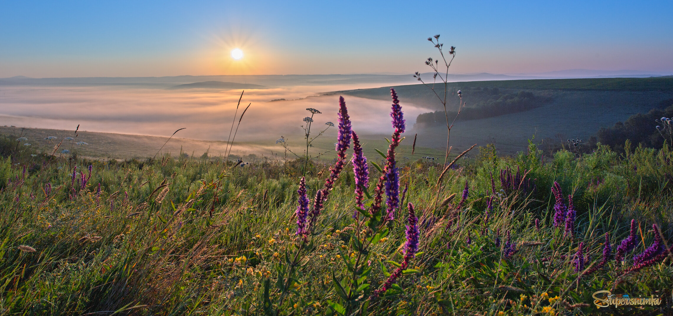 По утренней росе