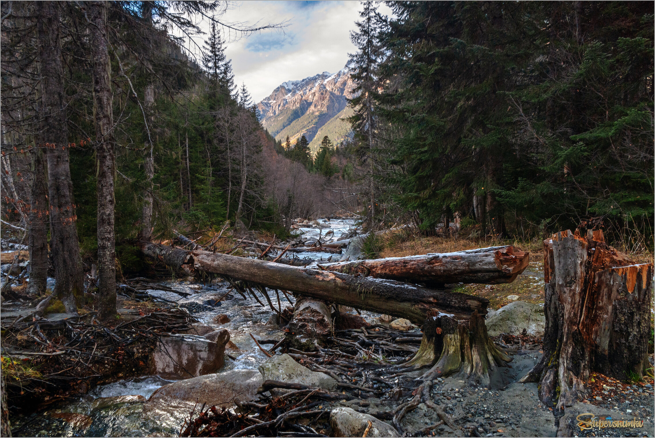Горный бурелом.