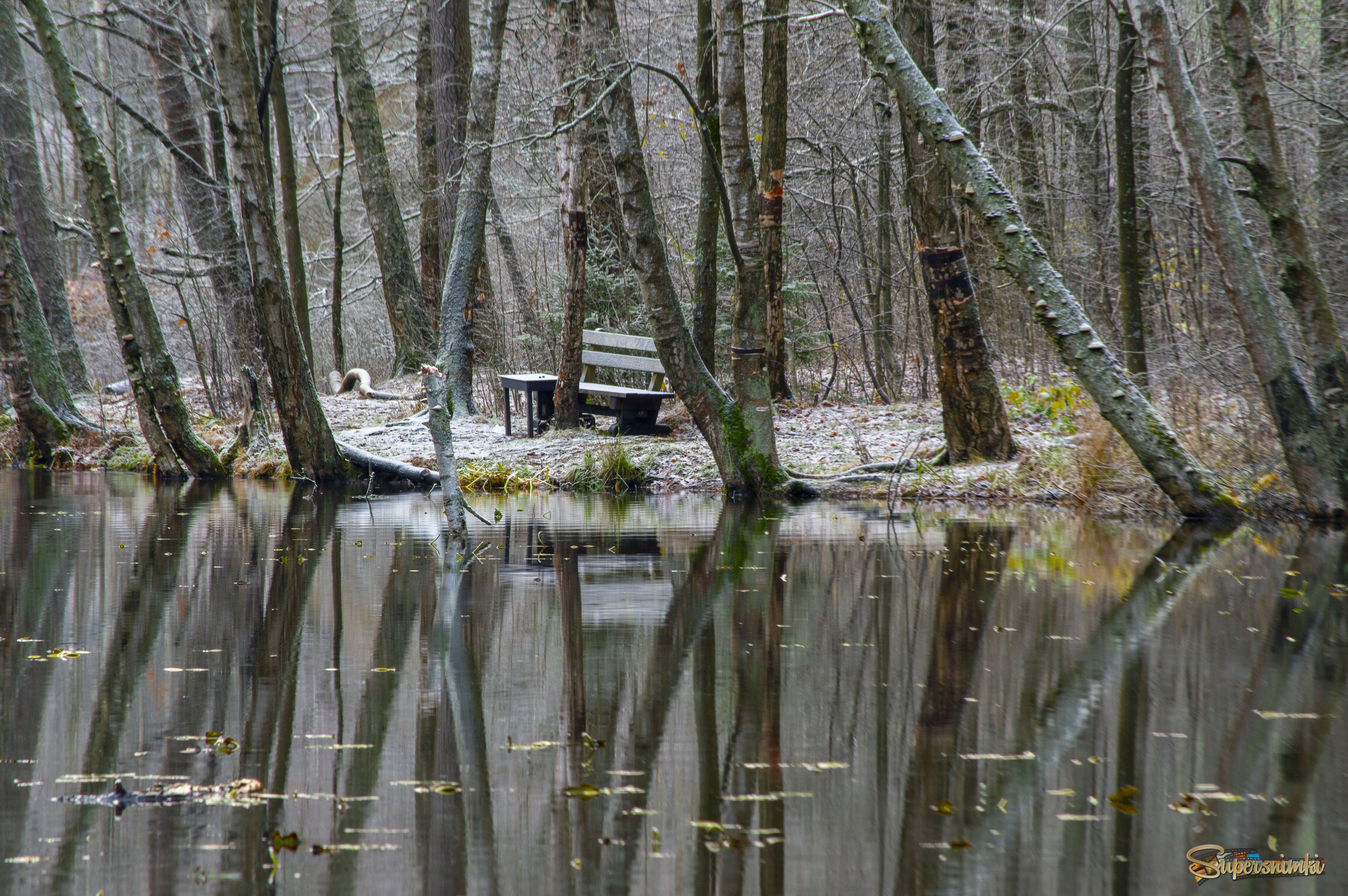 Предзимье........