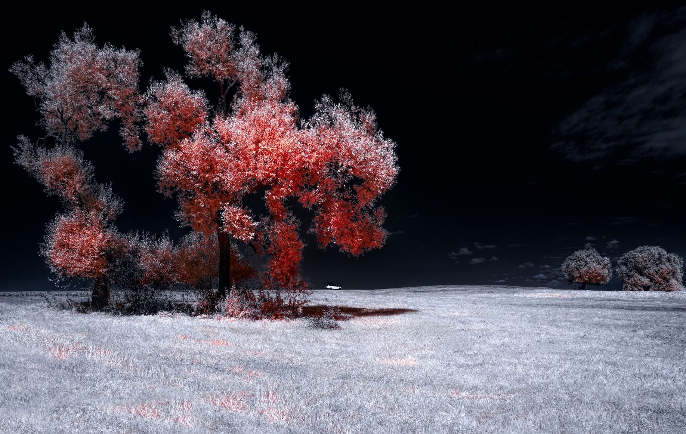 Путешествие в инфракрасный мир 