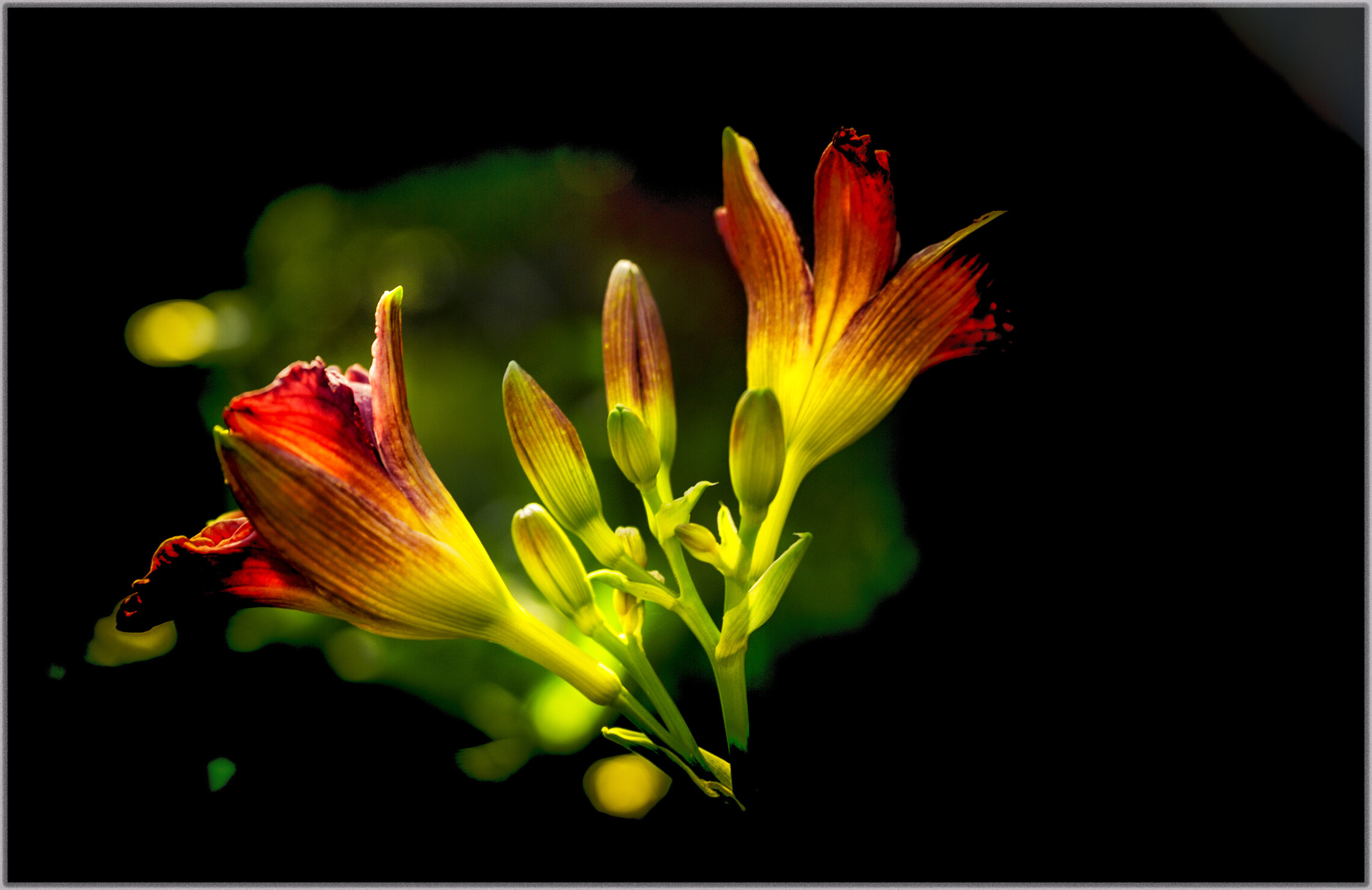 Настроения...