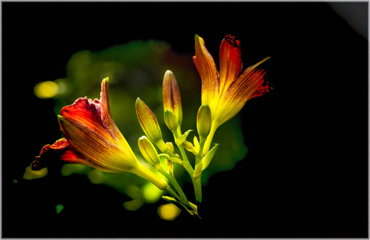 Текущая версия