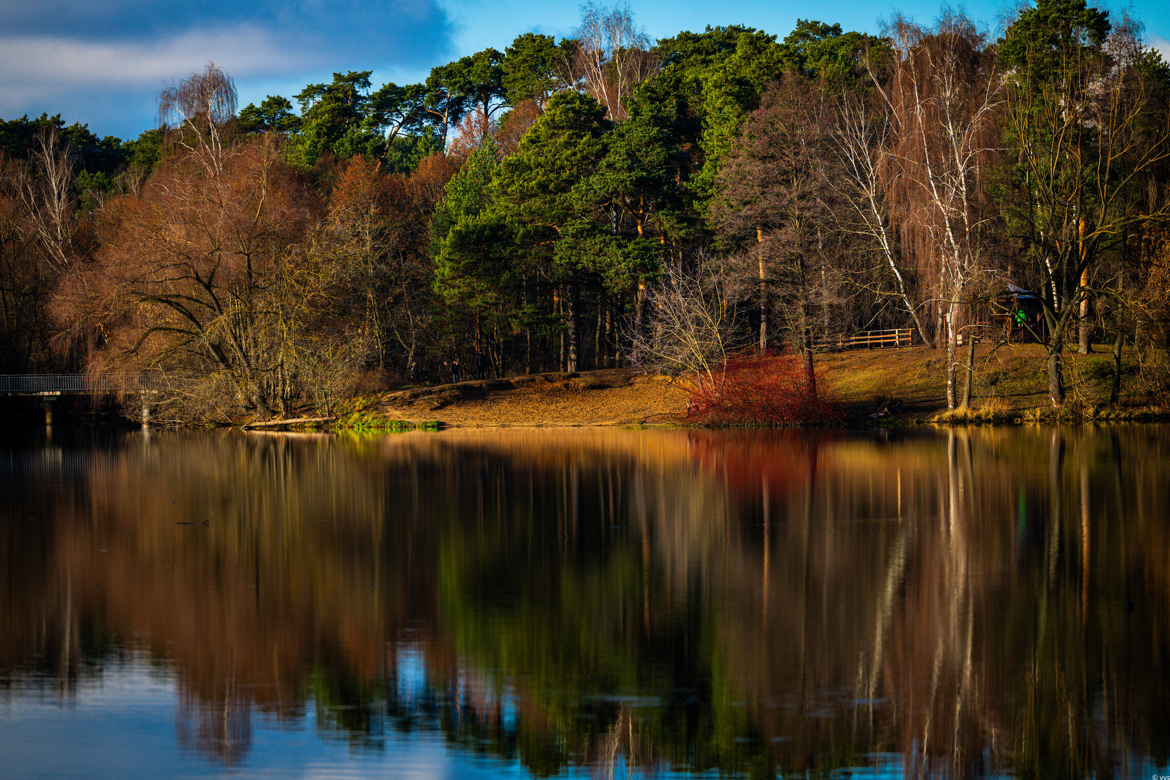 Московский ноябрь 