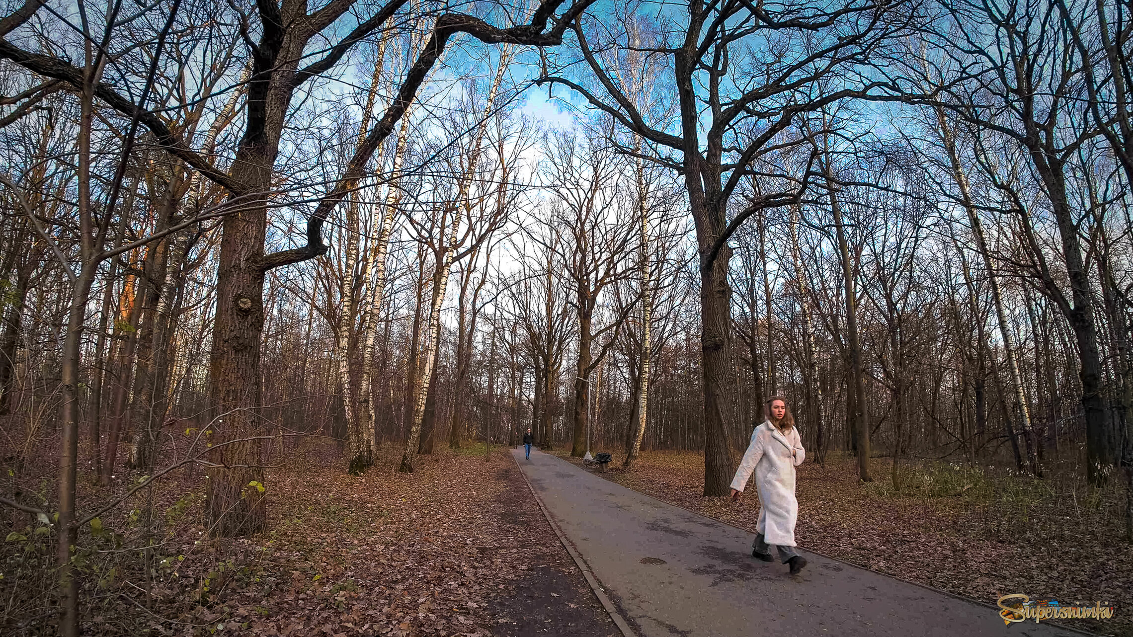 По Осеннему Парку