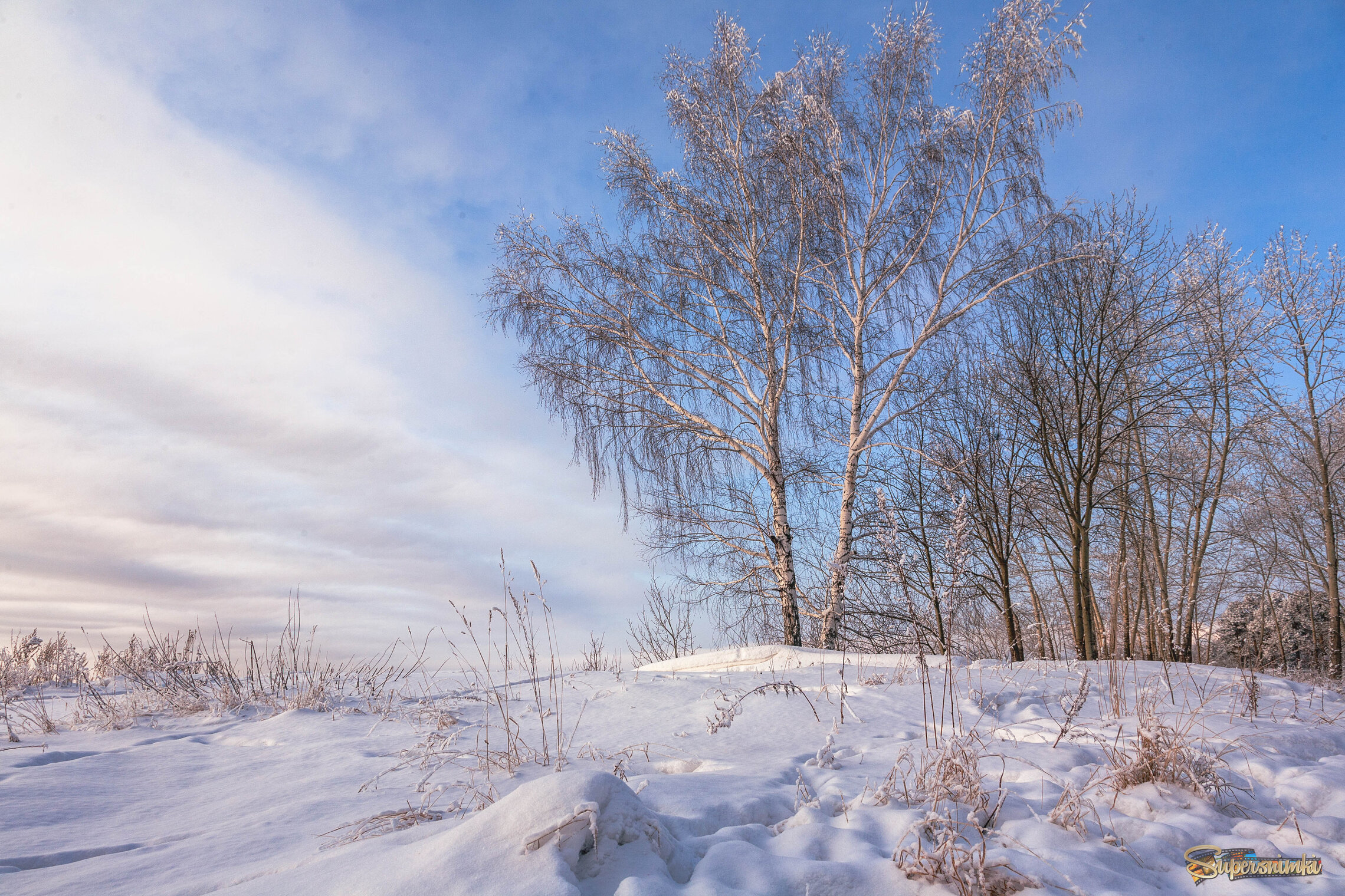 Зимний день