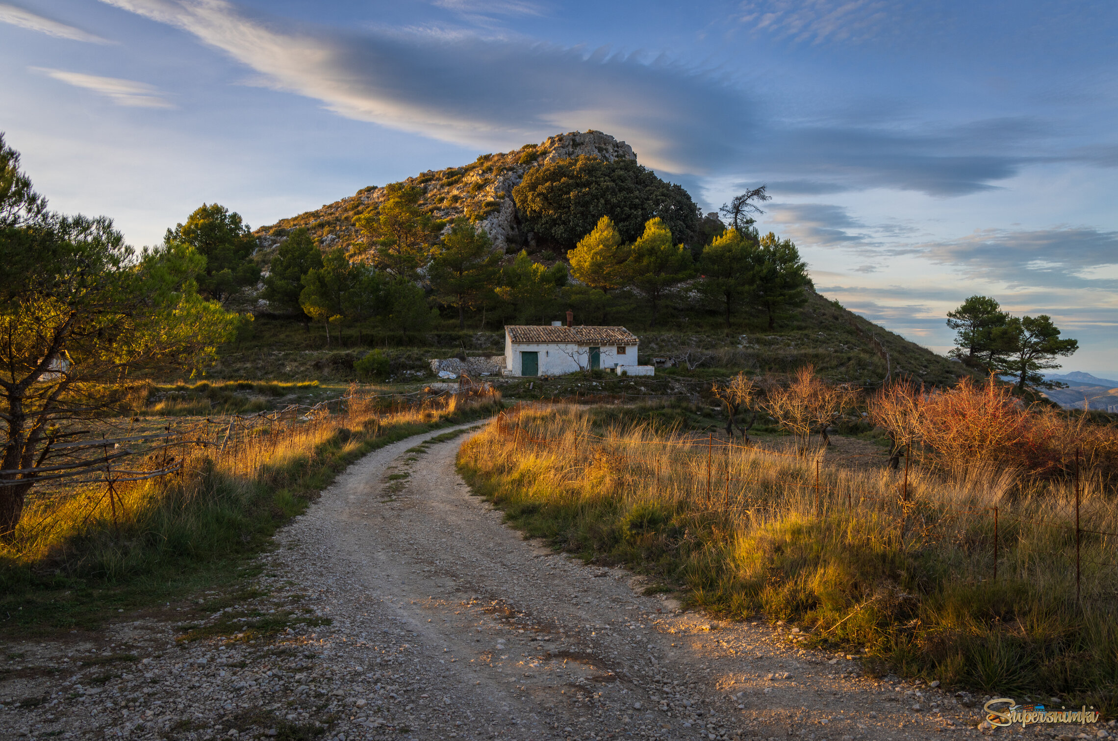 Вечерний свет