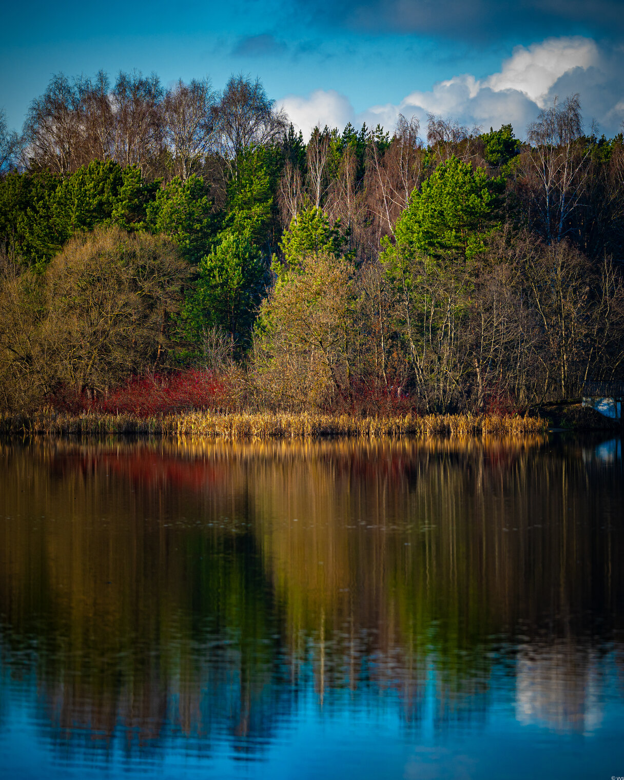 Краска потекла 