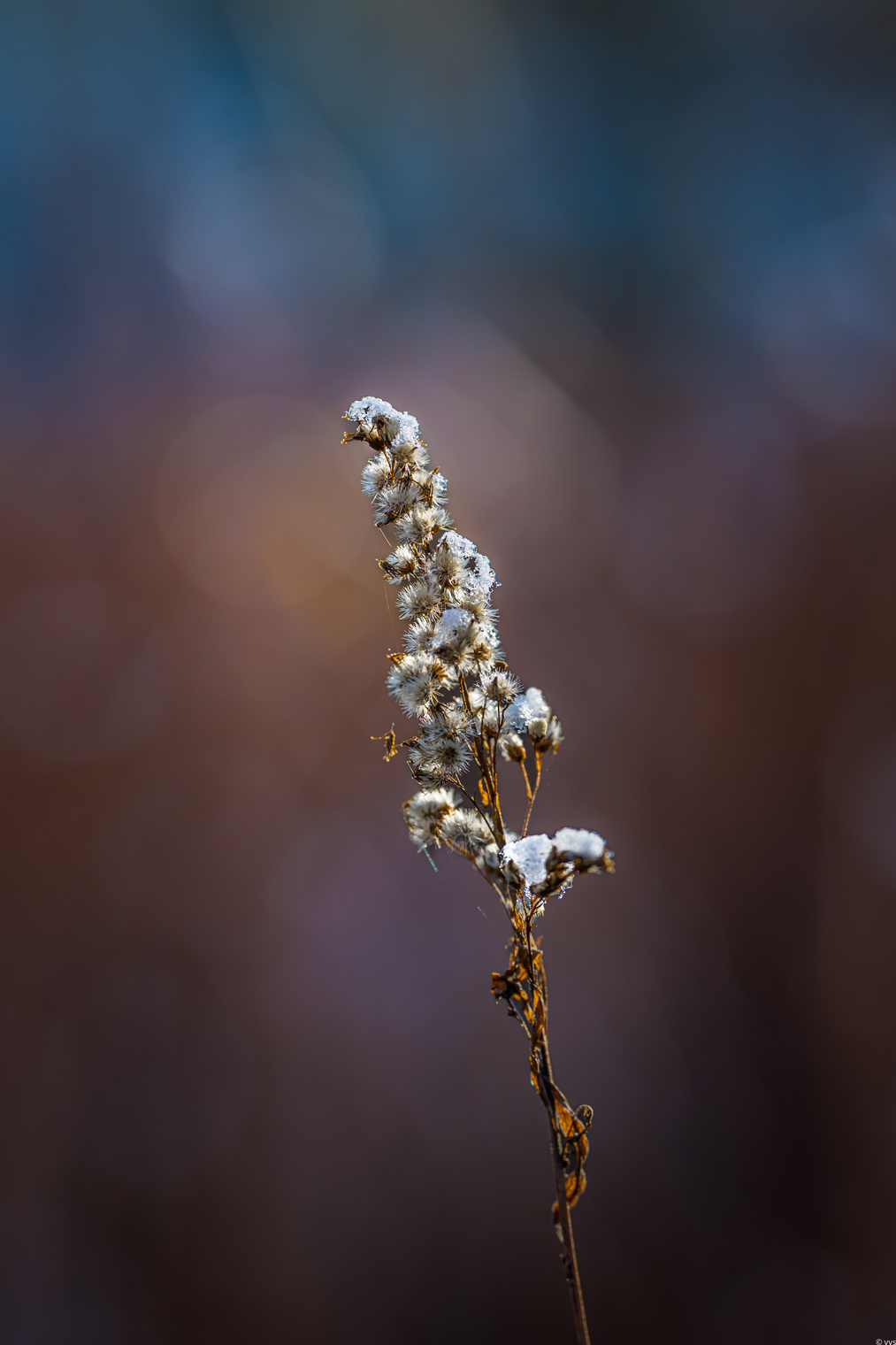 Акварелька 
