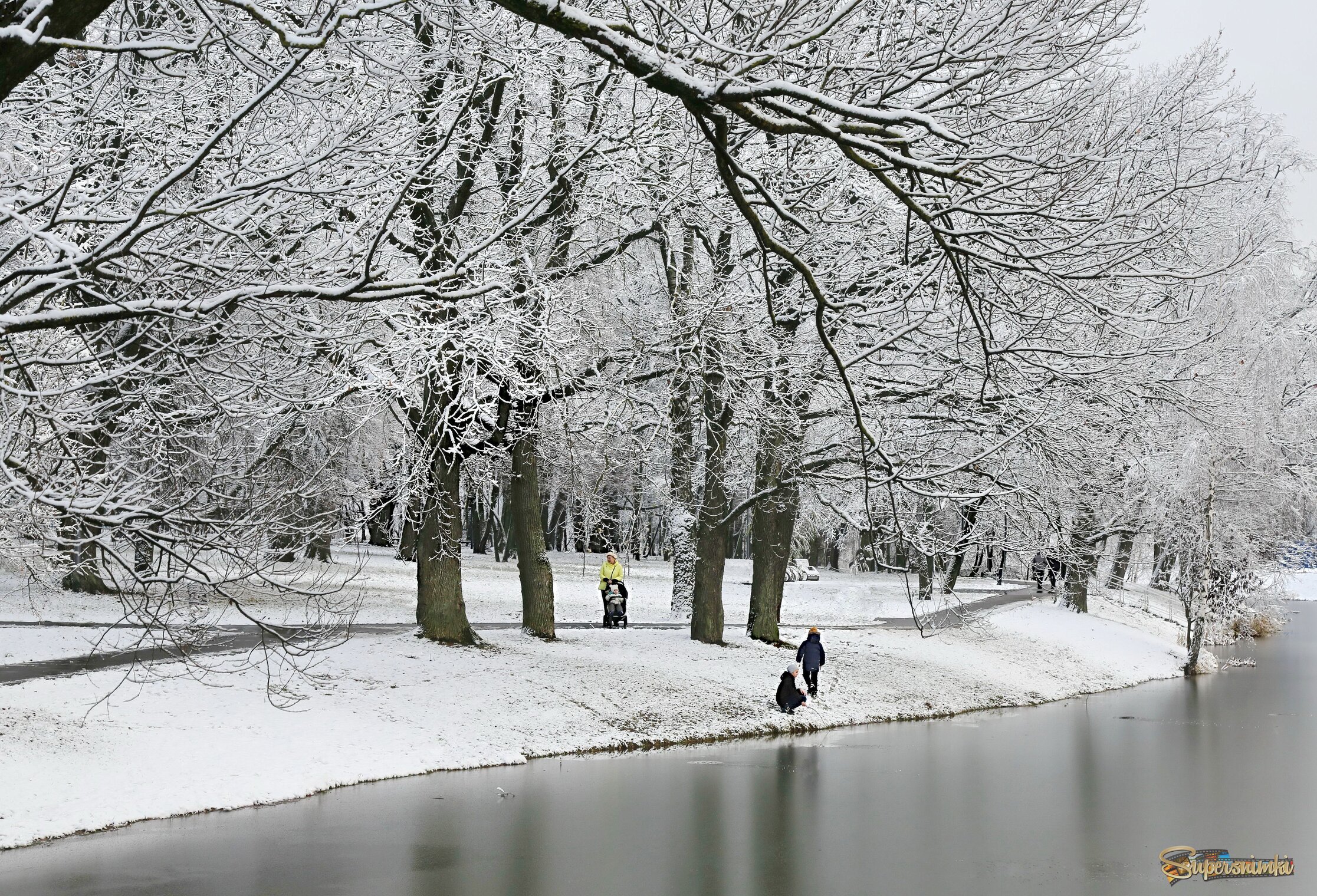Утро ноября, парк