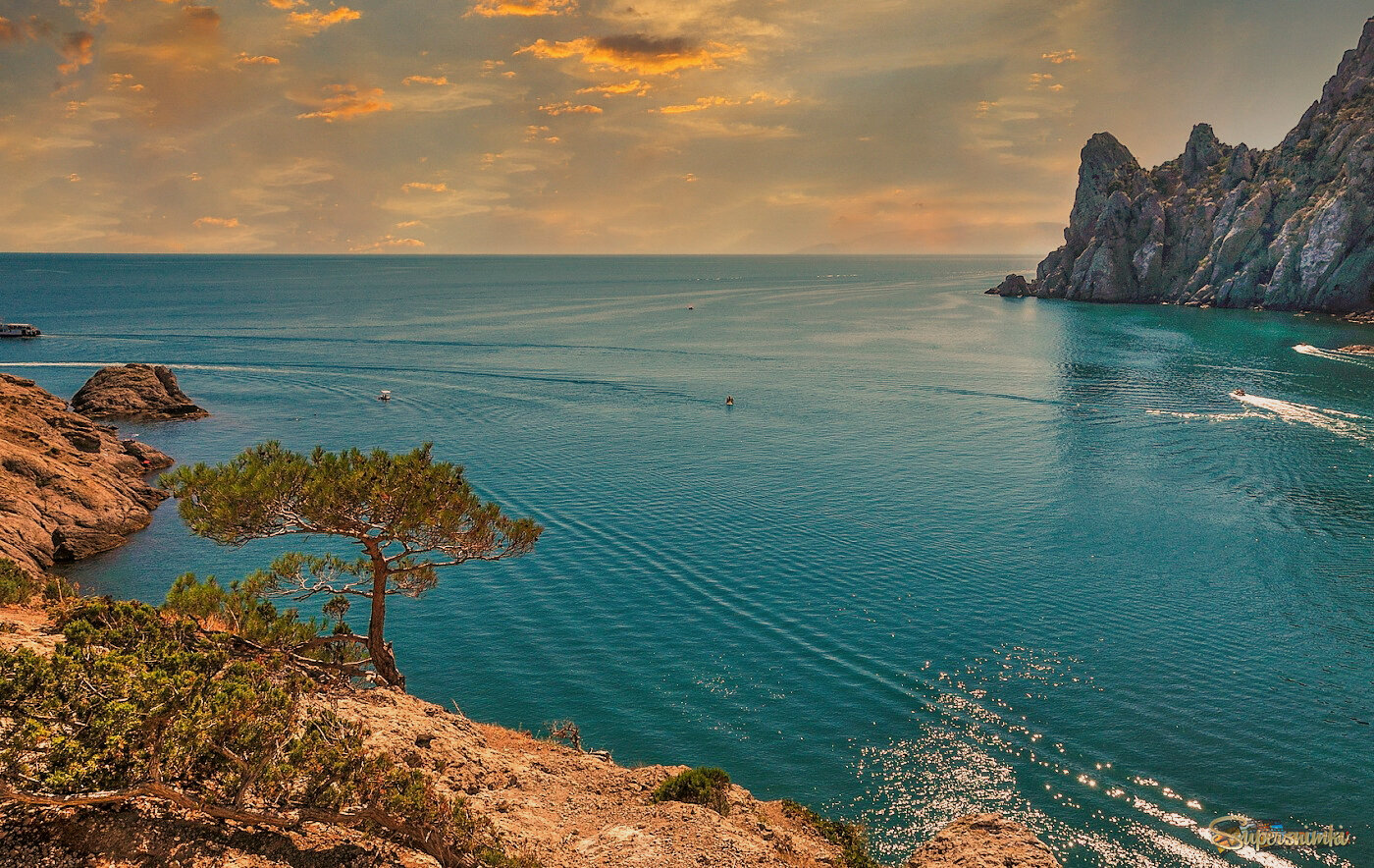 Новый Свет.