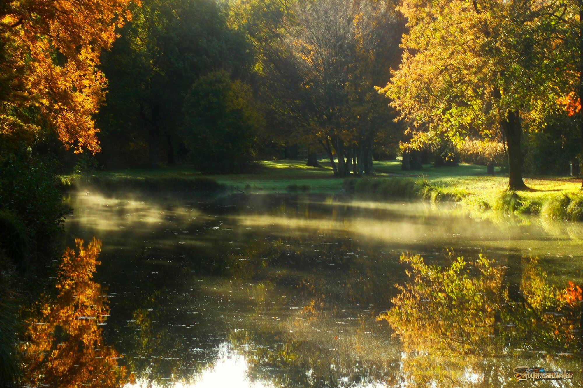 Осеннее утро