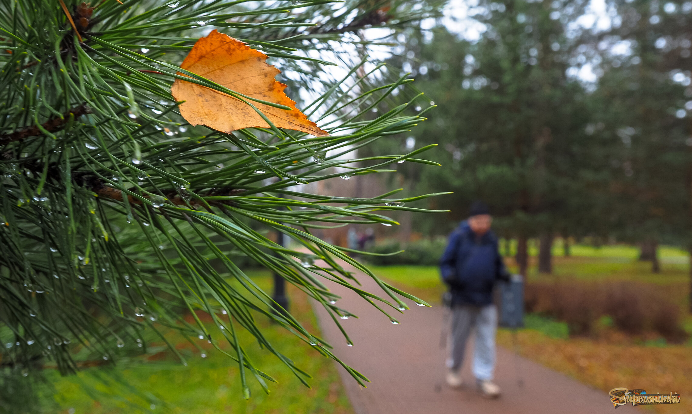 Осенний Южет