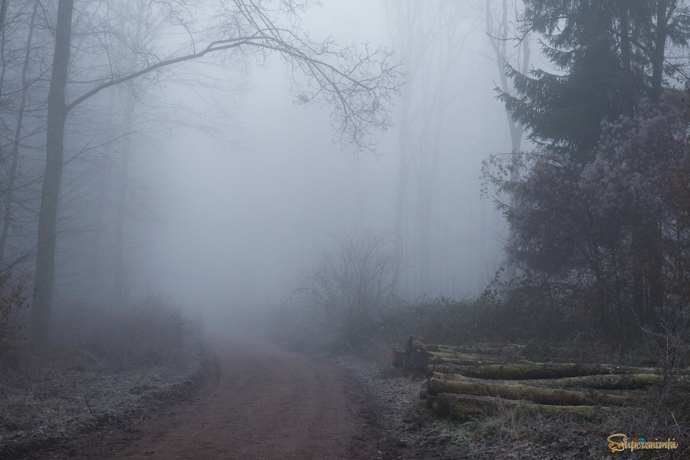 Утро туманное...