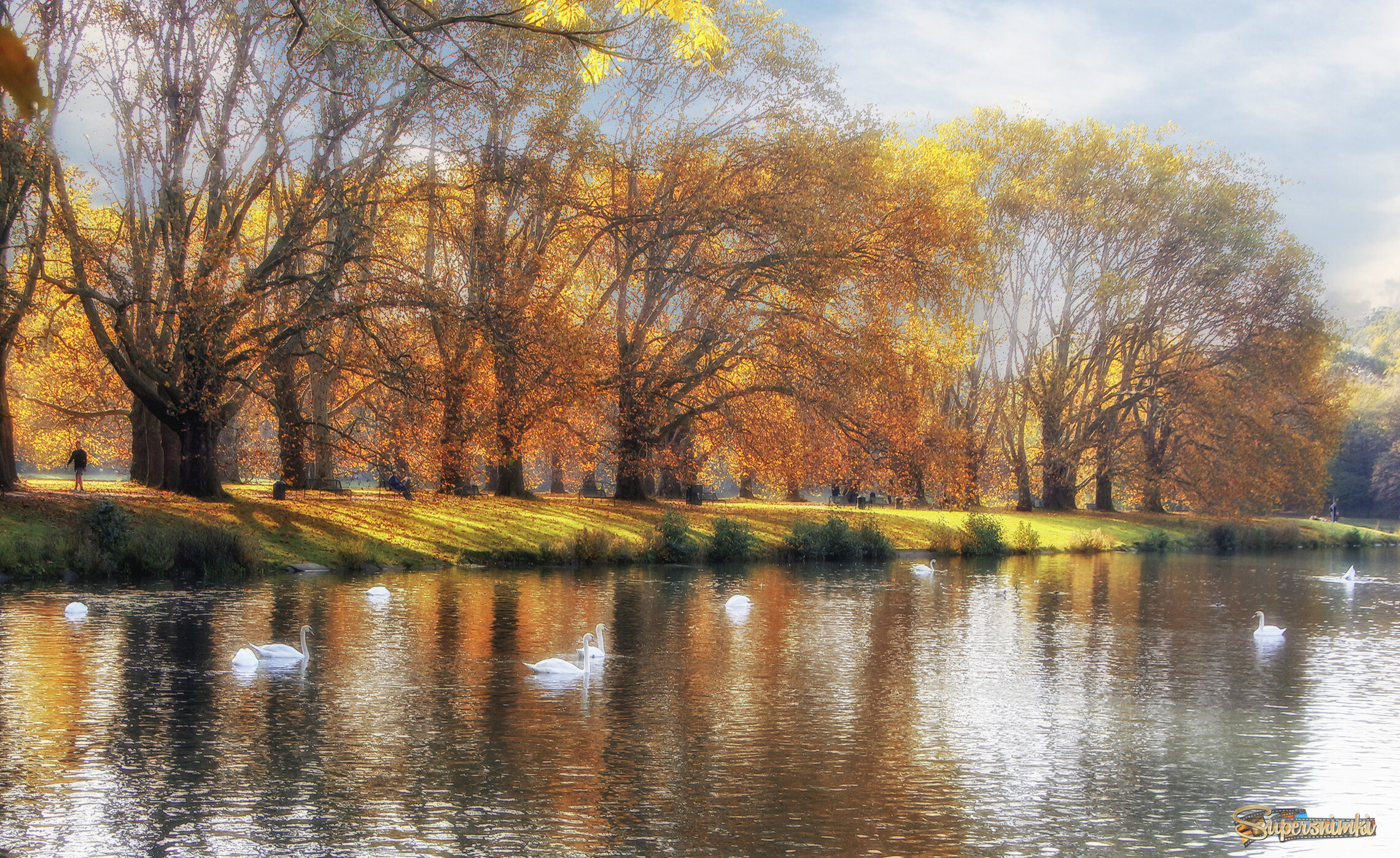 В парке Кельна