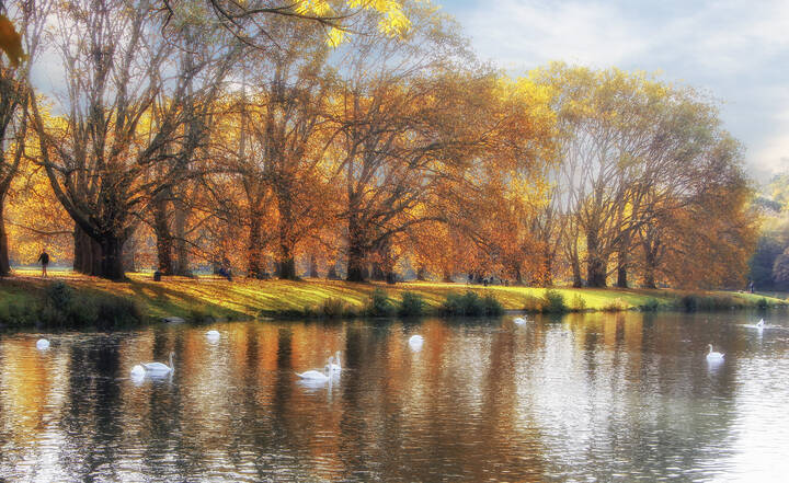 В парке Кельна