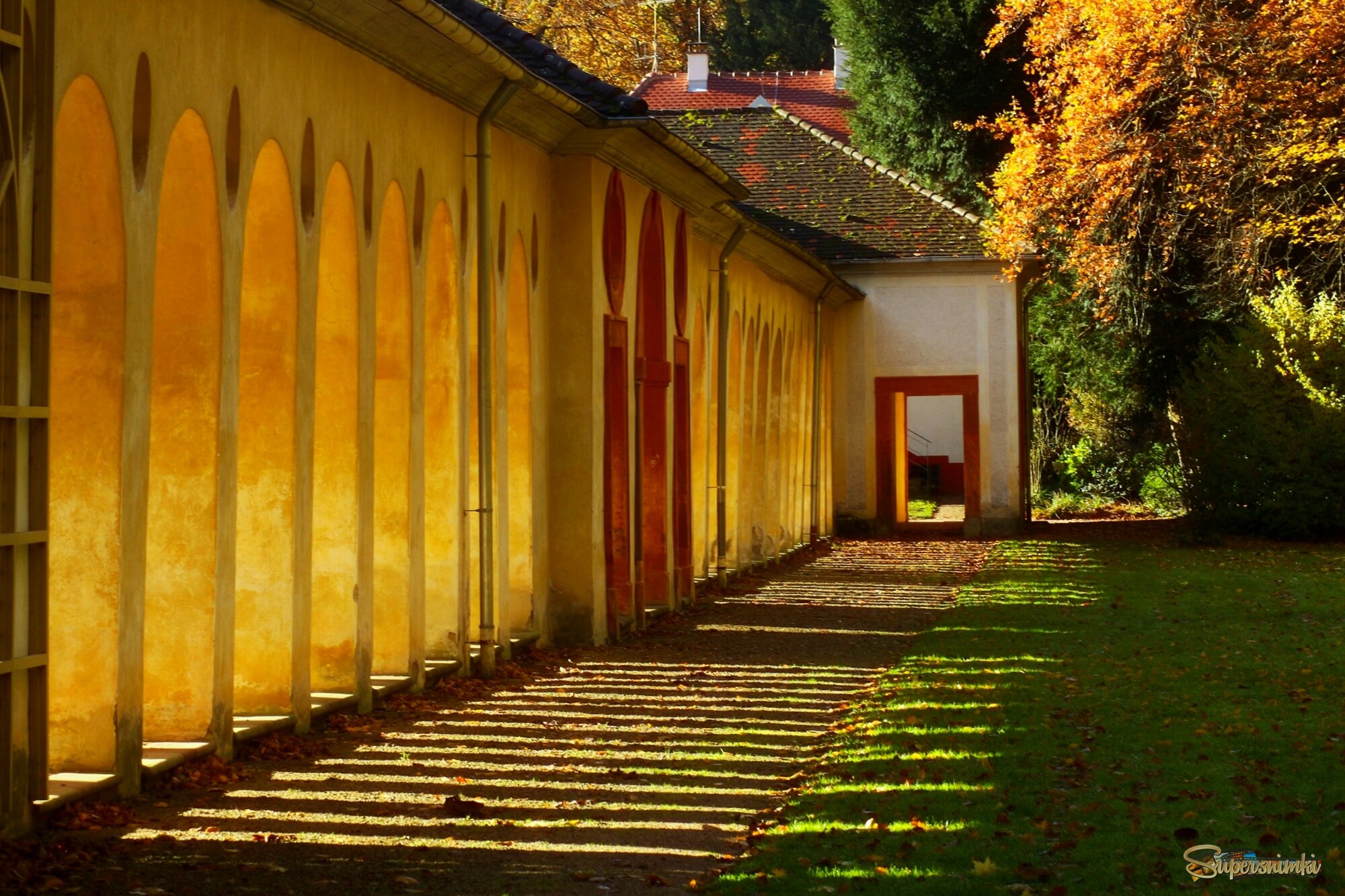 Утро ноября