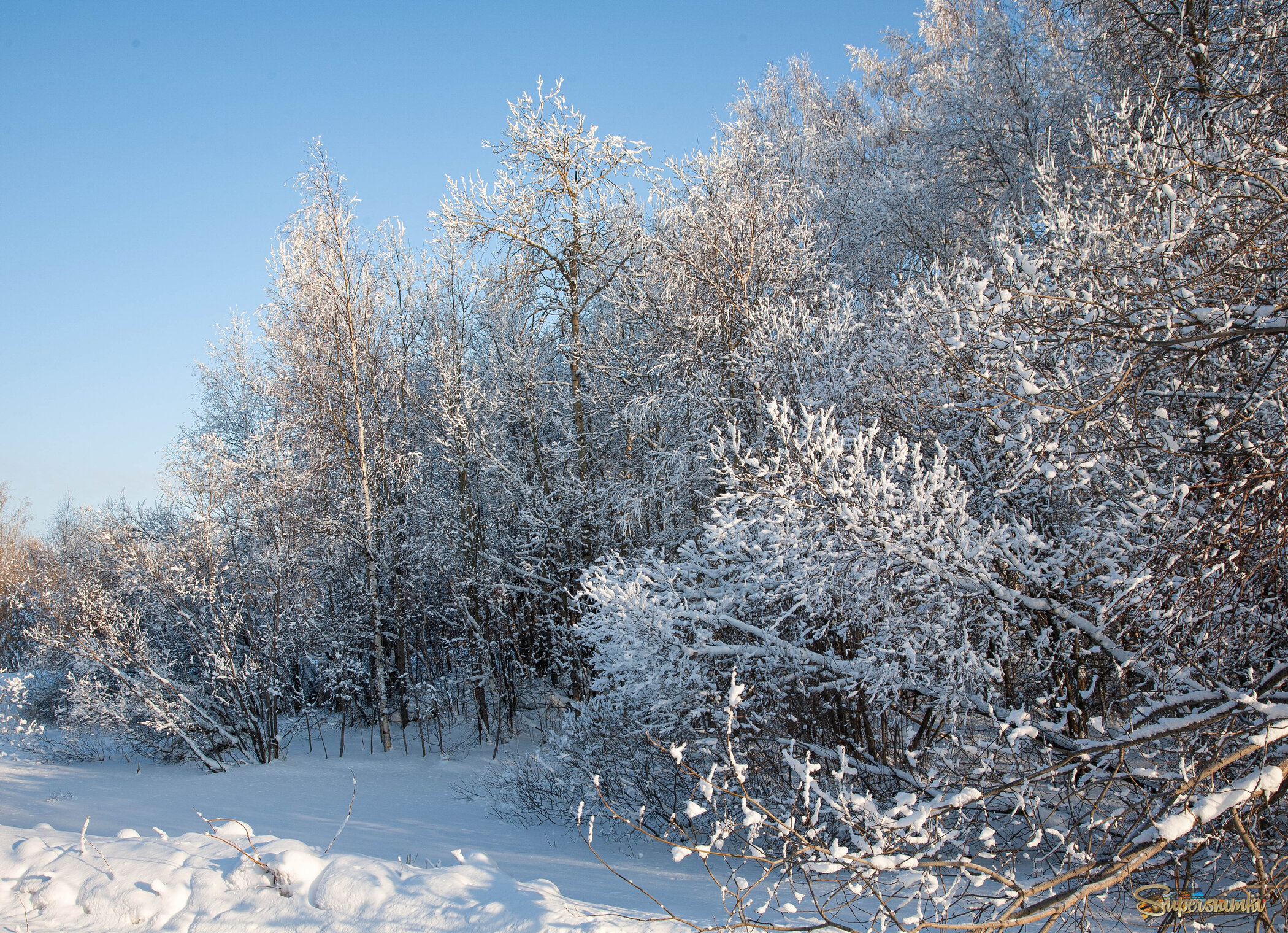 Морозный день