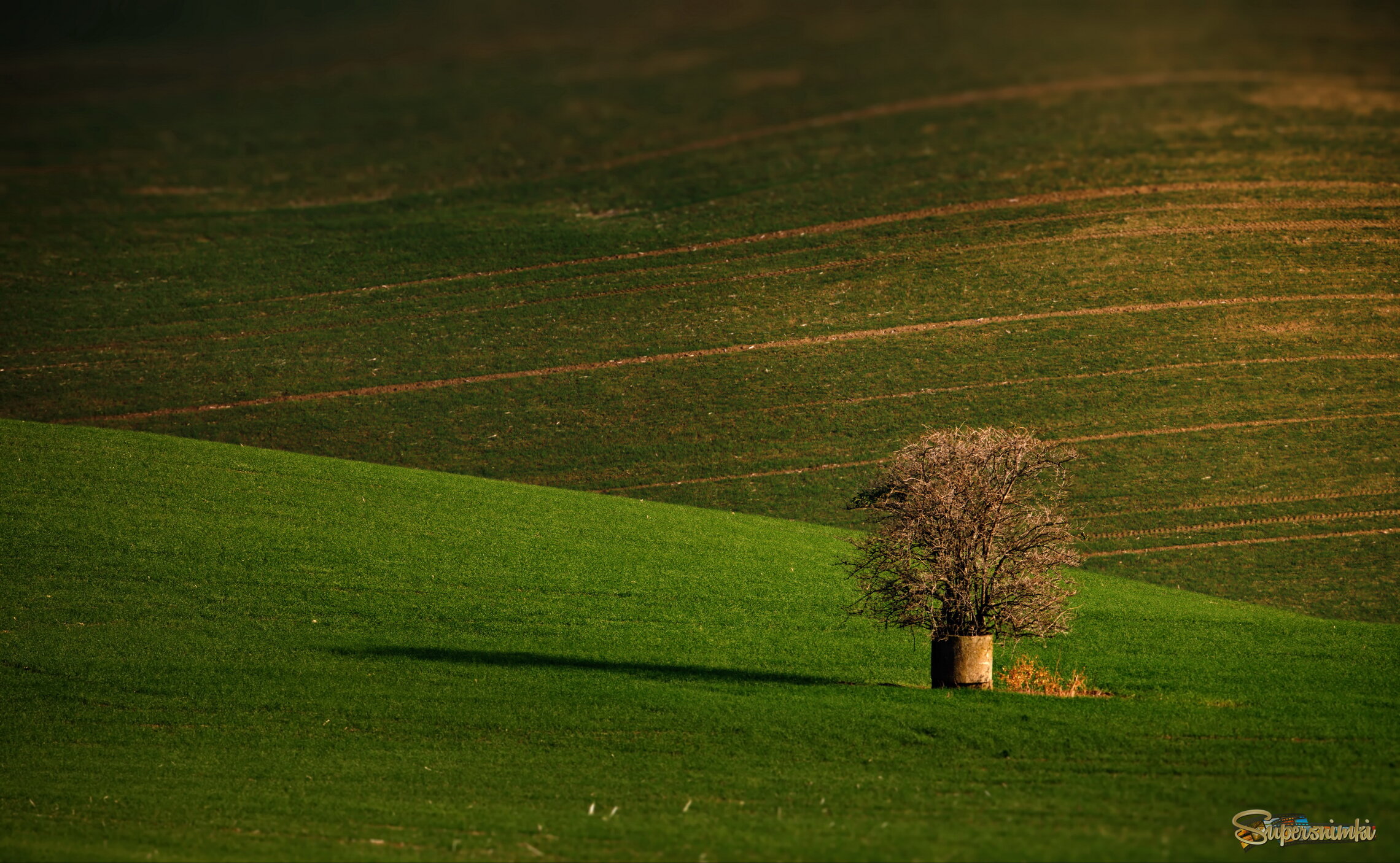 В живописном антураже