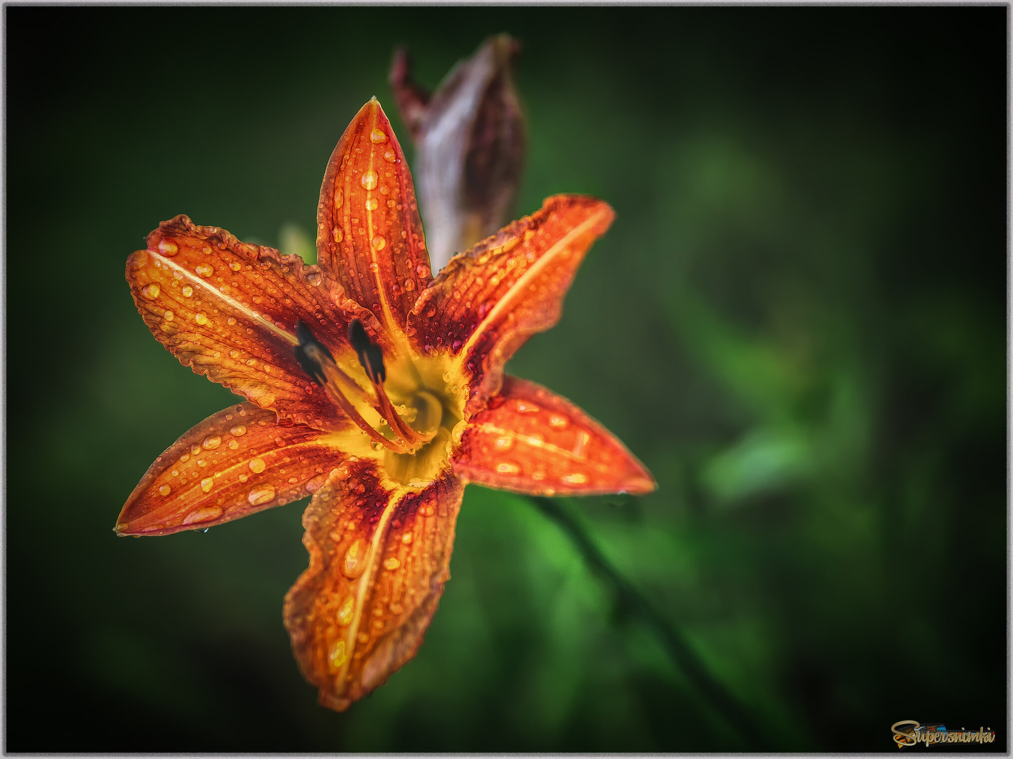 ...льет ли теплый дождь..