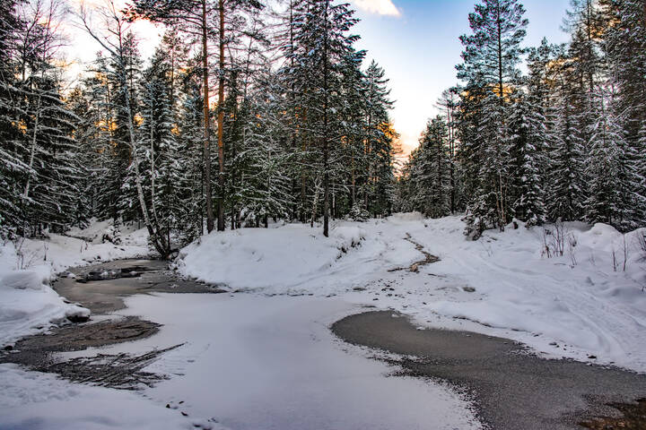 Осенняя дорога 