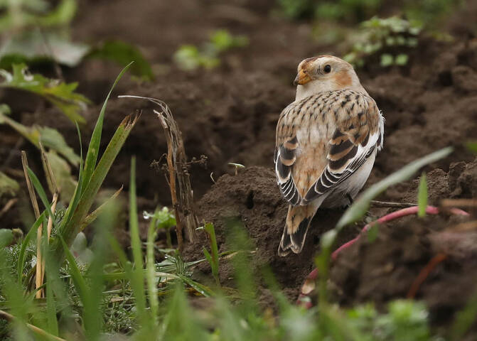 Я тебя вижу!