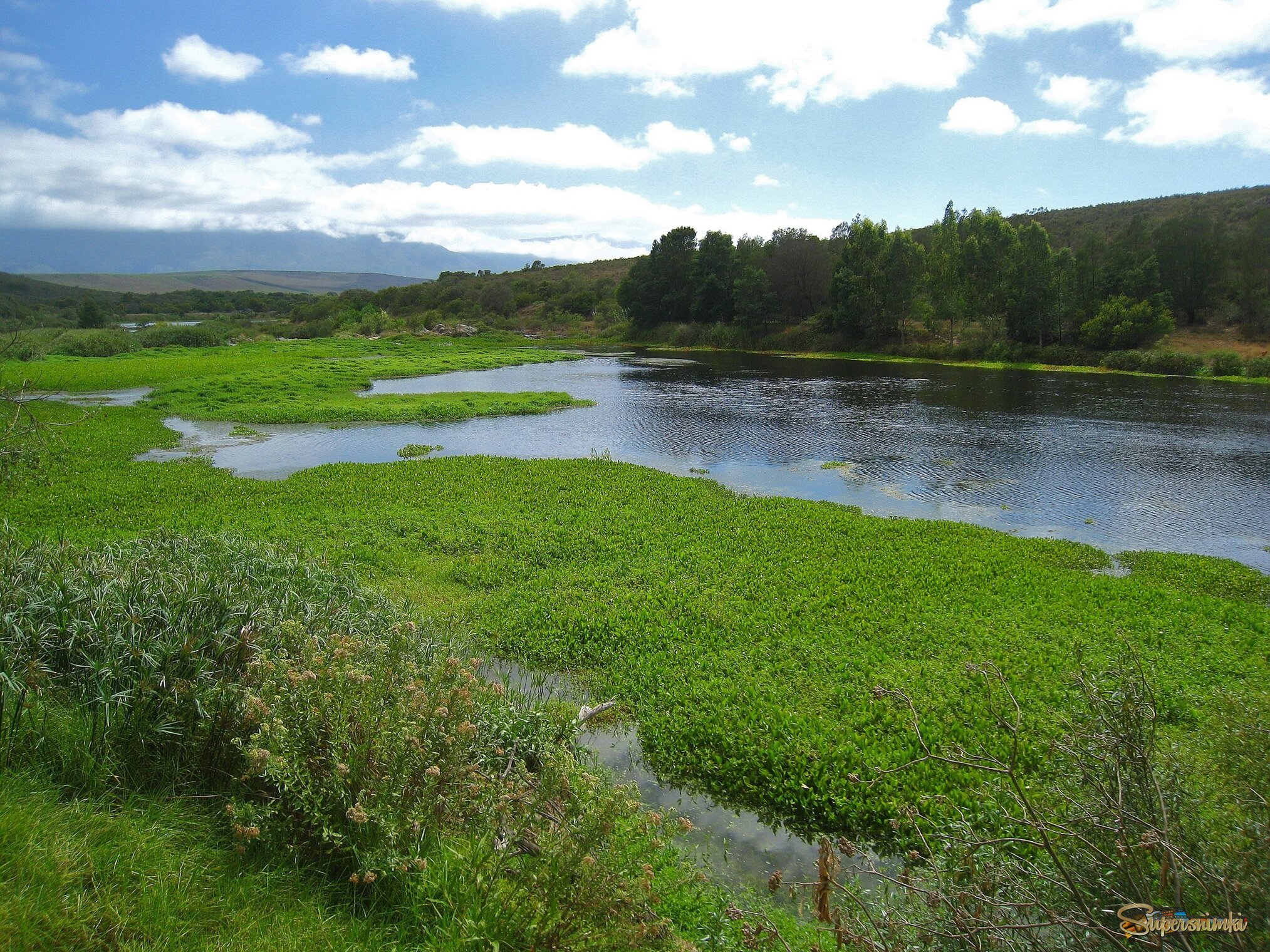 Река Брид в Национальном парке Бонтебок, ЮАР.