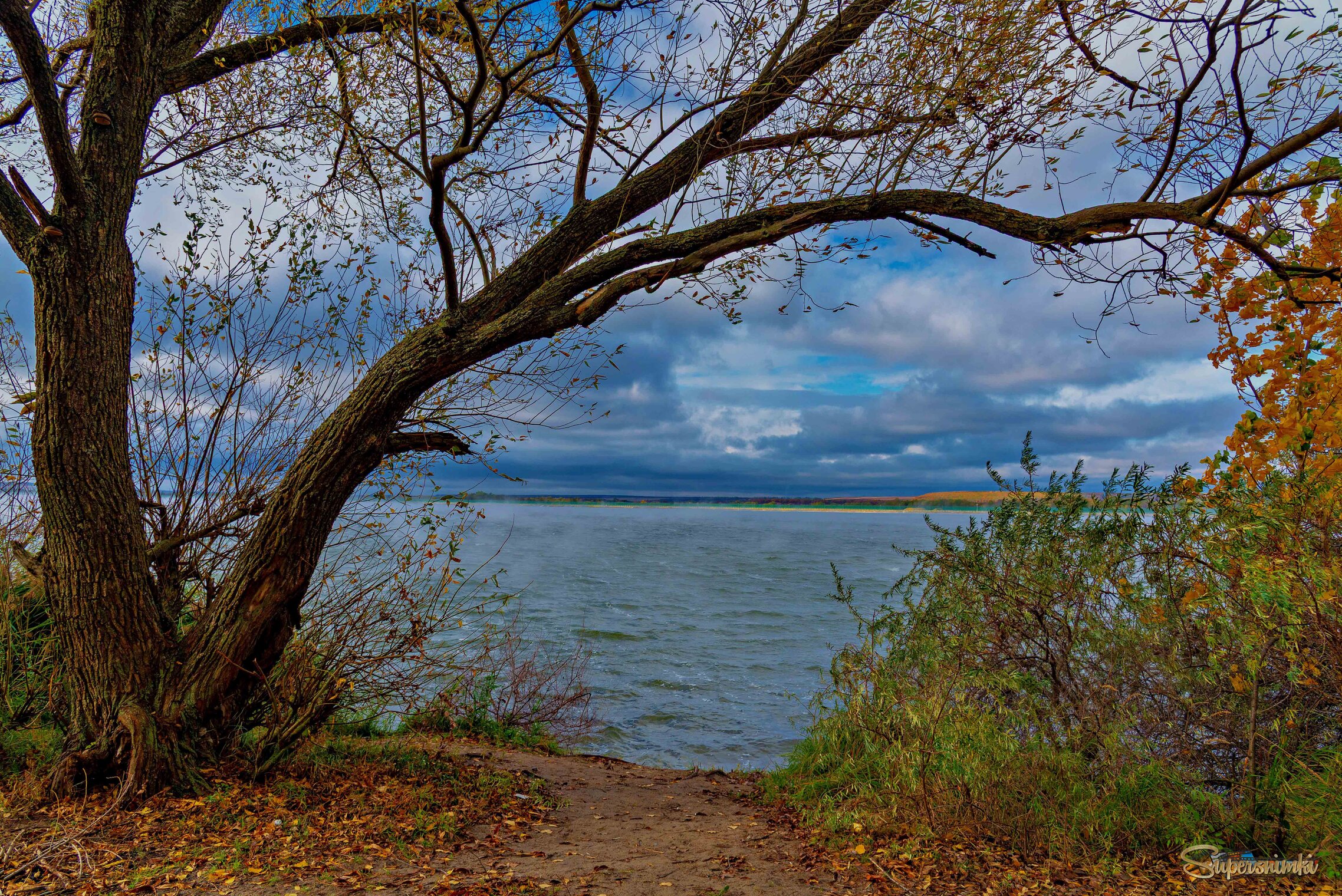 Опавший лист, в глазницу водоёма, соринкой мелкой медленно летит.