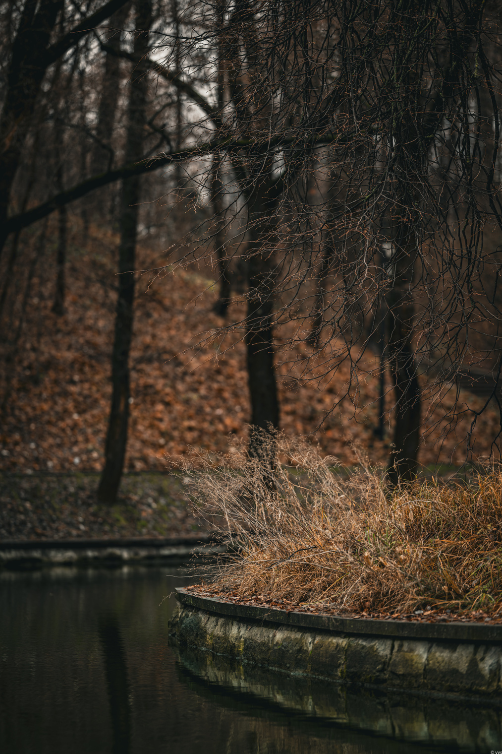 Тихий уголок