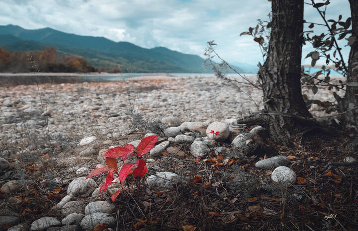 Осени вхожденье