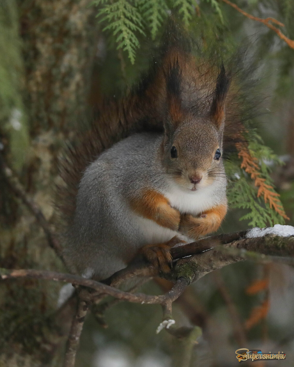 Ты не меня ищешь? 