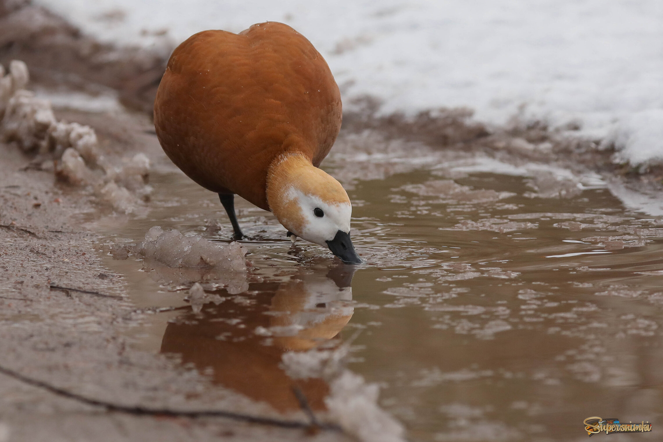 Первая встреча с зимой