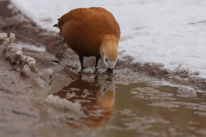 Первая встреча с зимой