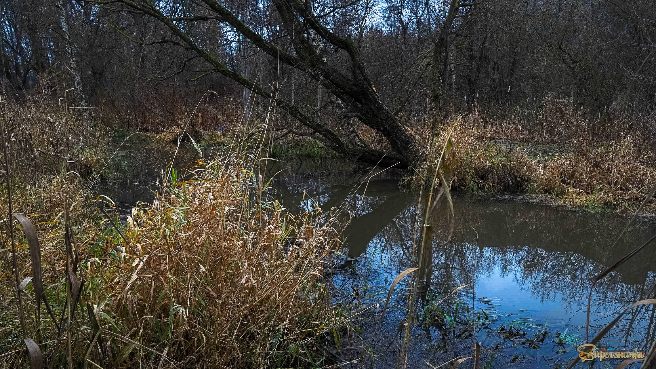 У Тихой Воды