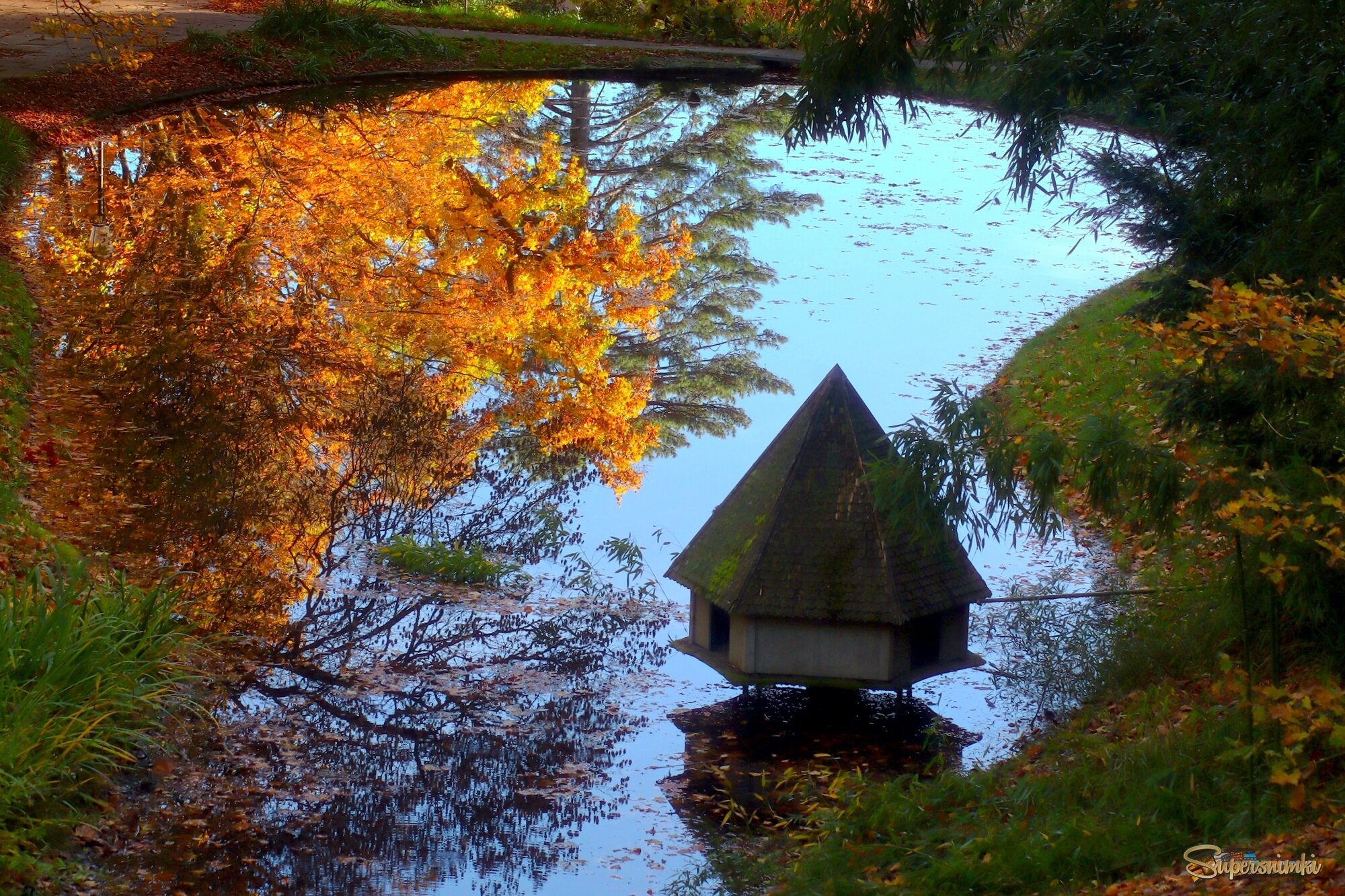 Озеро цапли