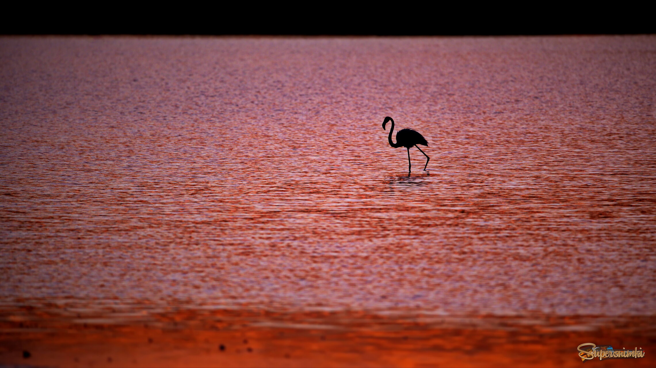 Мини-мали-стично)