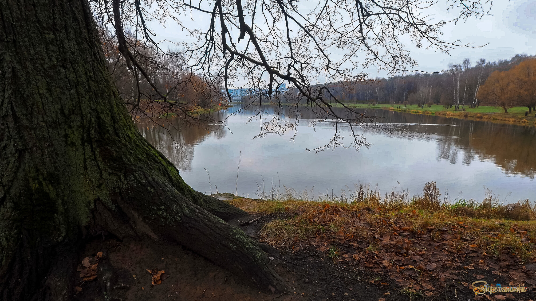 Осенний Сюжет