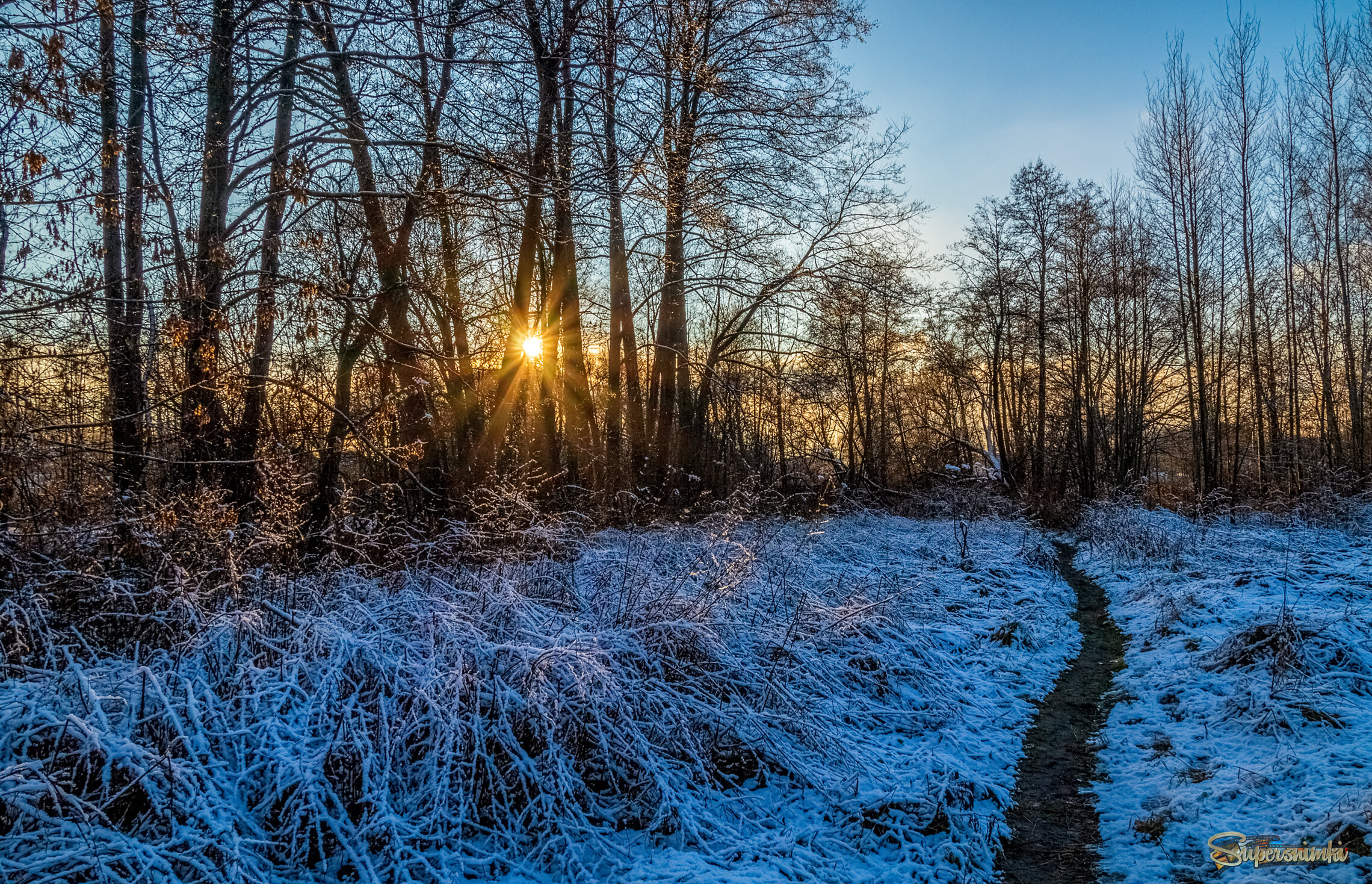 Вечер Ноября 8 