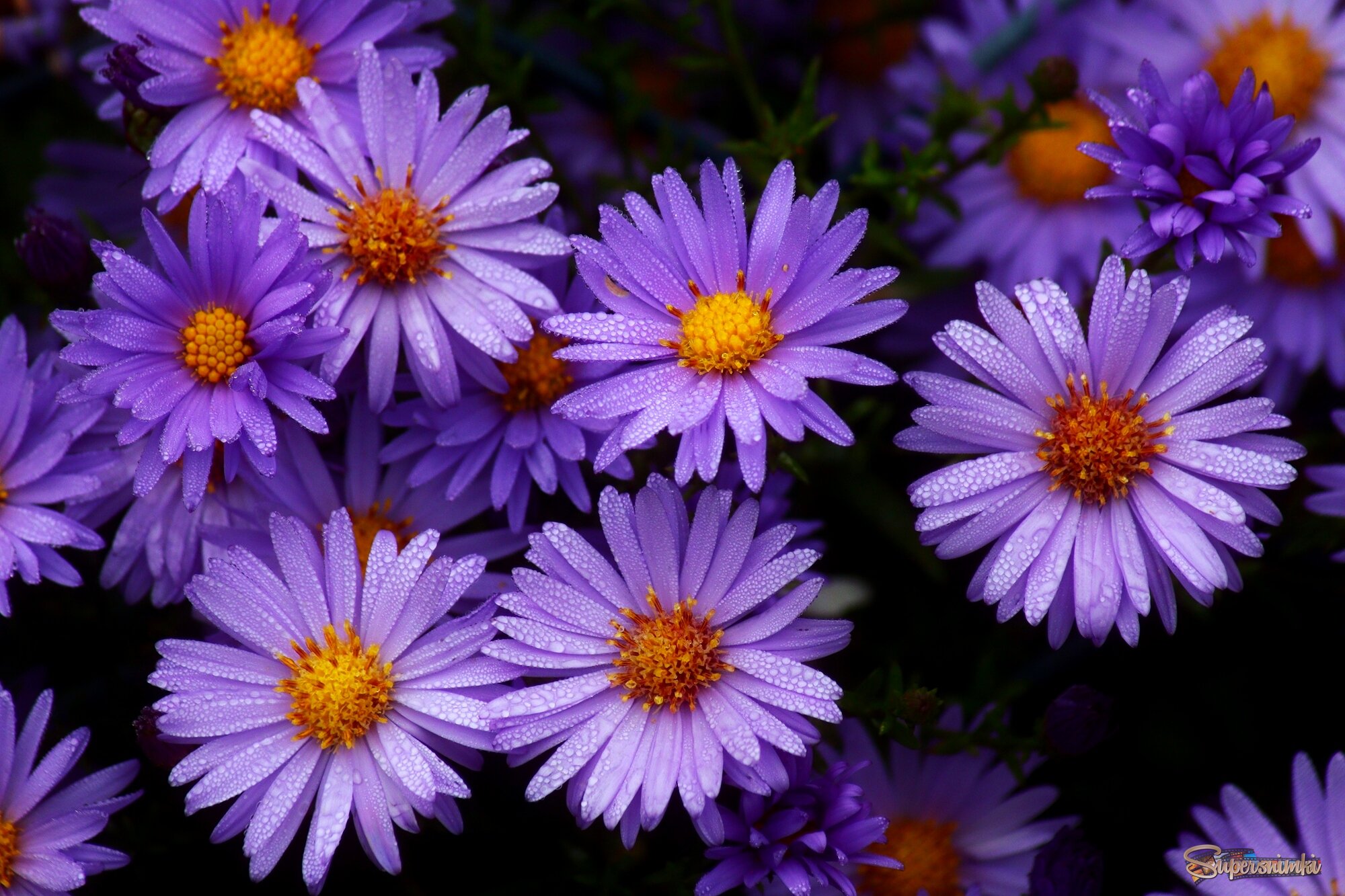 Доброе утро