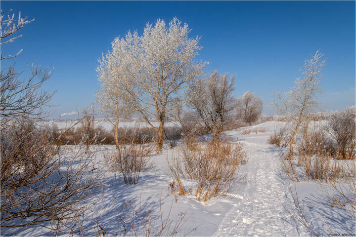 Зимний солнечный день.