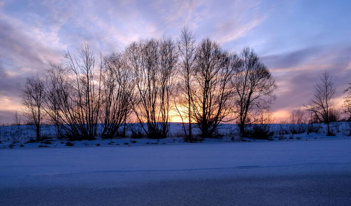 Закат в ажурной паутине