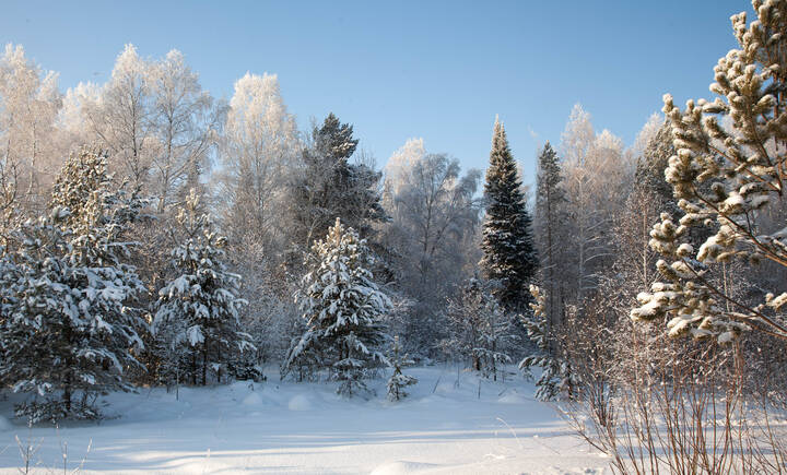 Чудесный первый день зимы — Пусть маленький, но праздник.